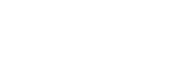 Dizel Servis PETAKOVIĆ